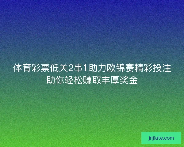 体育彩票低关2串1助力欧锦赛精彩投注助你轻松赚取丰厚奖金