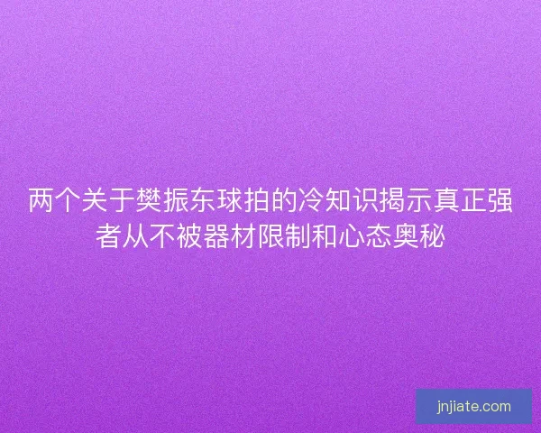 两个关于樊振东球拍的冷知识揭示真正强者从不被器材限制和心态奥秘